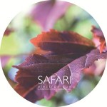 Safari-046_side-a-300px-white