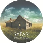 Safari 039 house_ side A_300px