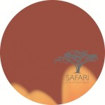 Safari 038 bis_A_300px